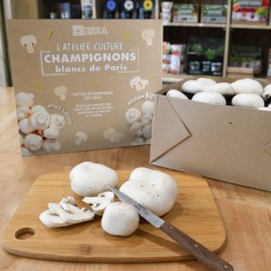 L'entreprise de champignons à faire pousser expose au salon du made in  France - Le Parisien