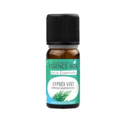 Organic Green Cypress