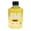 Biologische mango-ijslimonade