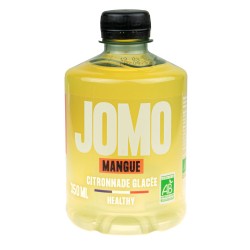 Biologische mango-ijslimonade