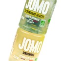 Biologische mango-ijslimonade