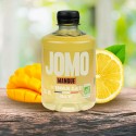 Biologische mango-ijslimonade