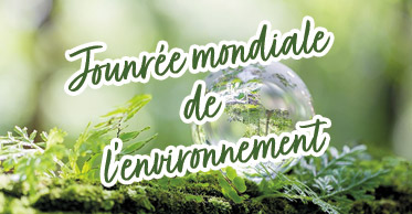 Journée mondiale de l'environnement : un appel à l'action pour la planète