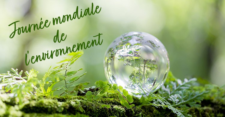 Journée mondiale de l'environnement : un appel à l'action pour la planète Essence Box