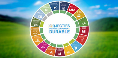 Semaine Européenne du Développement Durable Essence Box