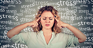 What is stress? And how do we go about being less stressed?